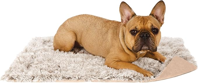 Furhaven Waterproof Throw Blanket for Dogs & Indoor Cats, Washable - Shaggy Plush Calming Long Faux Fur & Velvet Dog Blanket - Driftwood, Small