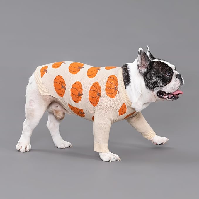 Fitwarm Pumpkin Dog Sweater, Thanksgiving Outfit for Small Dogs Boy Girl, Pet Outfit, Orange, Beige, XXL