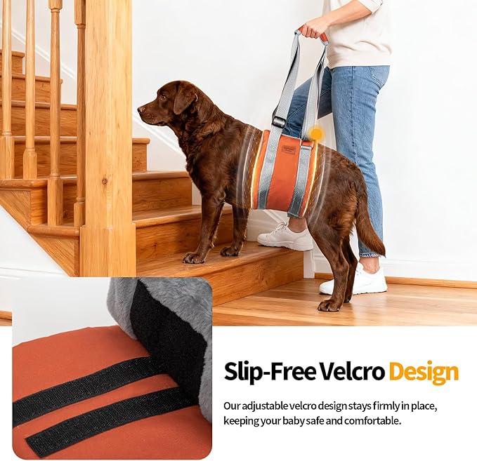ExploreU Dog Sling for Back Legs Dog Lift Harness Magic Tape Hip Support Harness Rehab to Help Senior,Injured,Arthritis,Hip Dysplasia,Weak Rear Leg,Disabled,After ACL/CCL Surgery,TPLO Dogs (Brown, M)