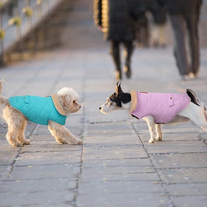 Large Dog Winter Jacket, Pet Warm Windproof Coat Dogs Cold Weather Coats Snow Jacket Pets Clothes, Golden Retriever, Labrador Retriever, Husky, Blue L