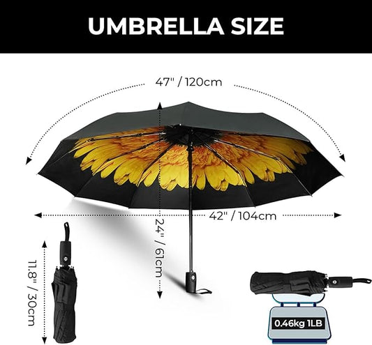 LLanxiry Compact Travel Umbrella, Automatic Open/Close Windproof Umbrella, 10 Fiberglass Ribs, 210T Pongee, UPF 50+ Sun/Rain, Lightweight Portable Umbrellas Travel Size with Carry Sleeve