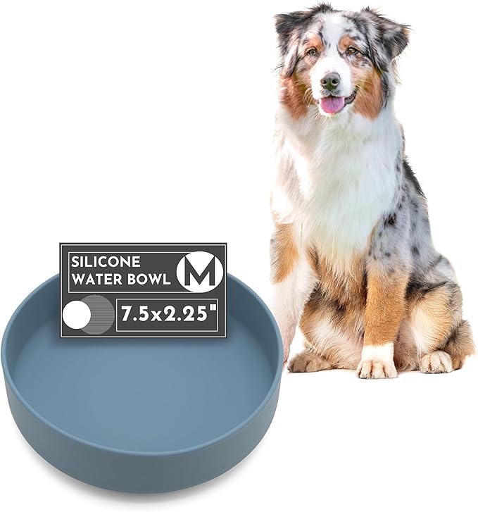 Should We Go? Dog Water Bowl - The Perfect Dish No-Spill, Less Mess Non-Tippable Water & Food Bowl, Pure Silicone with Suction Cup Fits 5 Cups 7.5" Across x 2.25" Tall Ideal for All Pets, Medium-Ocean