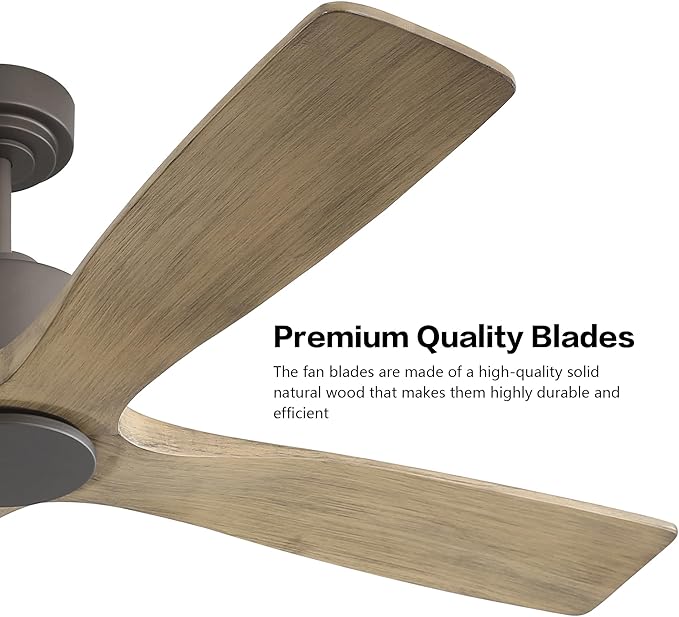 WINGBO 48 Inch DC Ceiling Fan without Lights, 4 Carved Solid Wood Blades, 6-Speed Noiseless Reversible DC Motor, Modern Ceiling Fan No Light with Remote, Graphite Finish with Gray Blades, ETL Listed