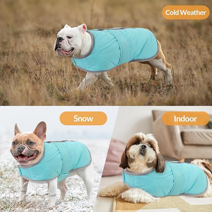 Queenmore Dog Winter Coat, Fleece Puffer Dog Down Vest, Cold Weather Pet Jacket for Dogs, Waterproof Reflective Reversible Dog Sweater Clothes for Small, Medium and Large Dogs (Light Blue, XL)