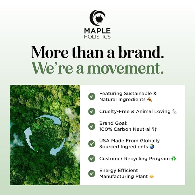 Natural Roll on Bug Repellent Stick - DEET Free Insect Repellent Stick for Kids & Adults for Ticks & Mosquitoes - Made with Citronella Rosemary & Lemongrass - Light Scent Vegan Cruelty Free (3 Pack)