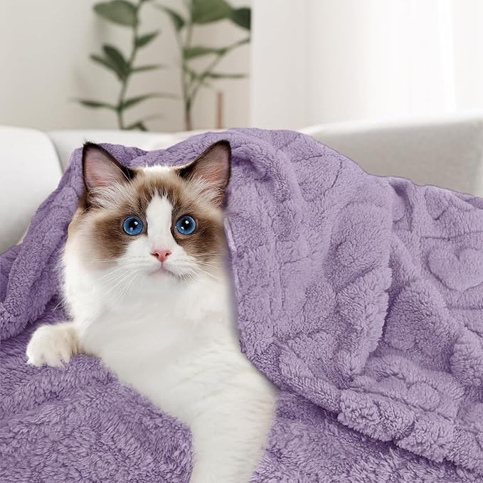 MACEVIA Fluffy Fleece Dog Blankets, Warm Soft Fuzzy Pets Blanket for Puppy, Small, Medium, Large Dogs and Cats, Plush Pet Throws for Bed, Couch, Sofa, Travel (24x29 Inch,Light Purple)