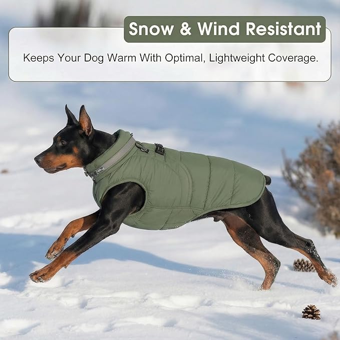 SAWMONG Dog Coat, Warm Dog Winter Coat, Waterproof Fleece Jacket, Cold Weather Dogs Jacket (XL,Green)