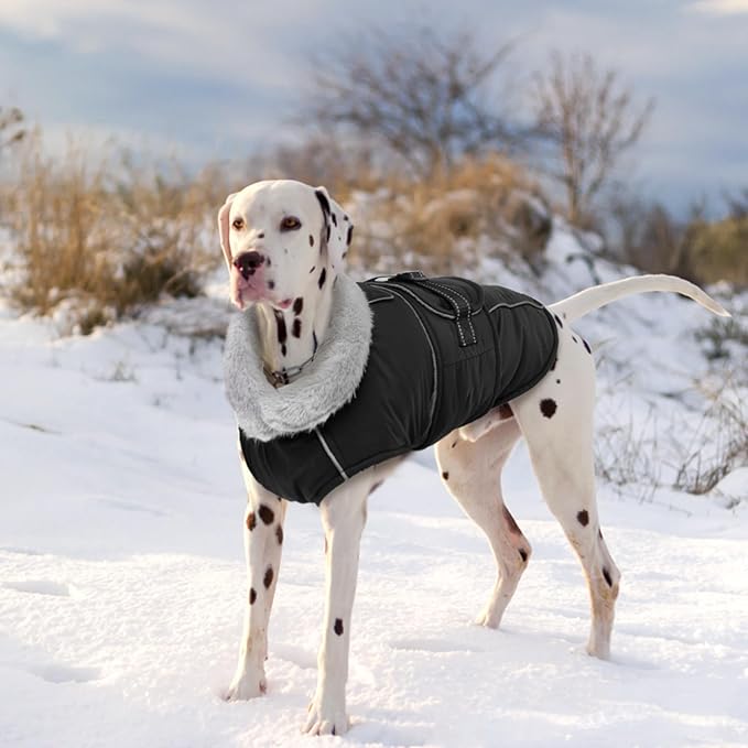 Lelepet Warm Dog Coat Reflective Dog Fleece Vest Waterproof Jacket Windproof Winter Cold Weather Coats with Adjustable Buckle Jackets for Dogs, Black, M