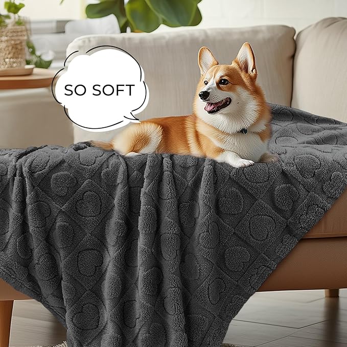 Luciphia Small Dog Blanket Washable Pet Bed Cover Soft Fluffy Puppy Blanket with Premium Fleece 300GSM Cozy Calming Cat Blankets for Indoor Cats Grey 41x31 inch