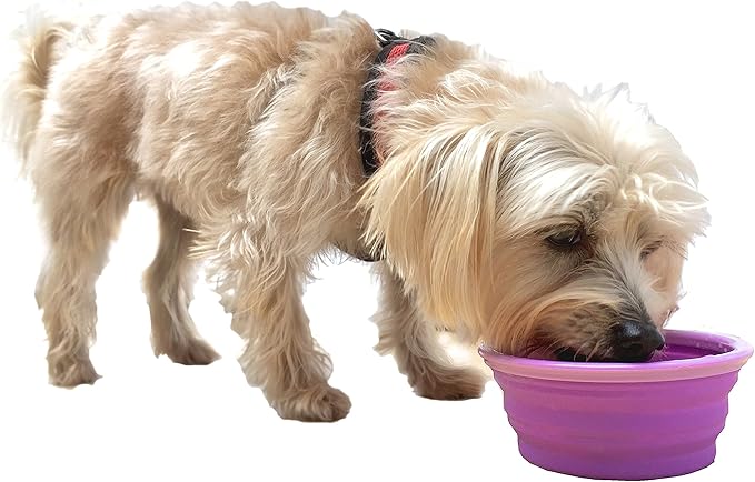 Prima Pet Collapsible Silicone Food and Water Travel Bowl with Clip for Dog and Cat, Small (1.5 Cups)