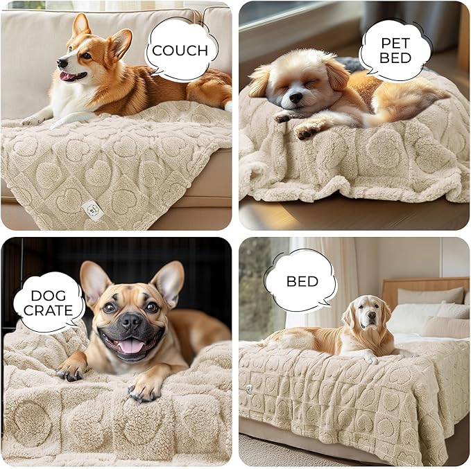 Luciphia 1 Pack 2 Small Dog Blanket Washable Pet Bed Cover Soft Fluffy Puppy Blanket with Premium Fleece 300GSM Cozy Calming Cat Blankets for Indoor Cats Beige 41x31 inch