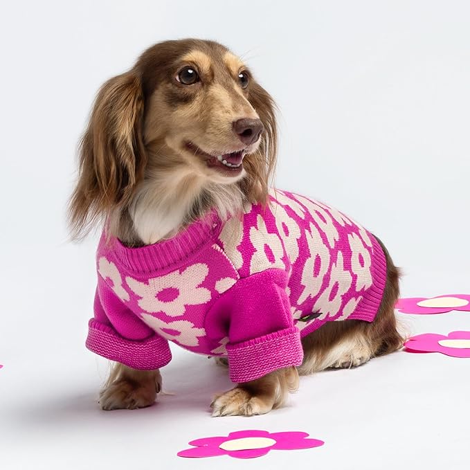 Fitwarm Floral Dog Sweater, Thermal Sweatshirt, Winter Clothes for Small Dogs Girl, Pullover Jumper, Pet Outfit, Hot Pink, White, XS