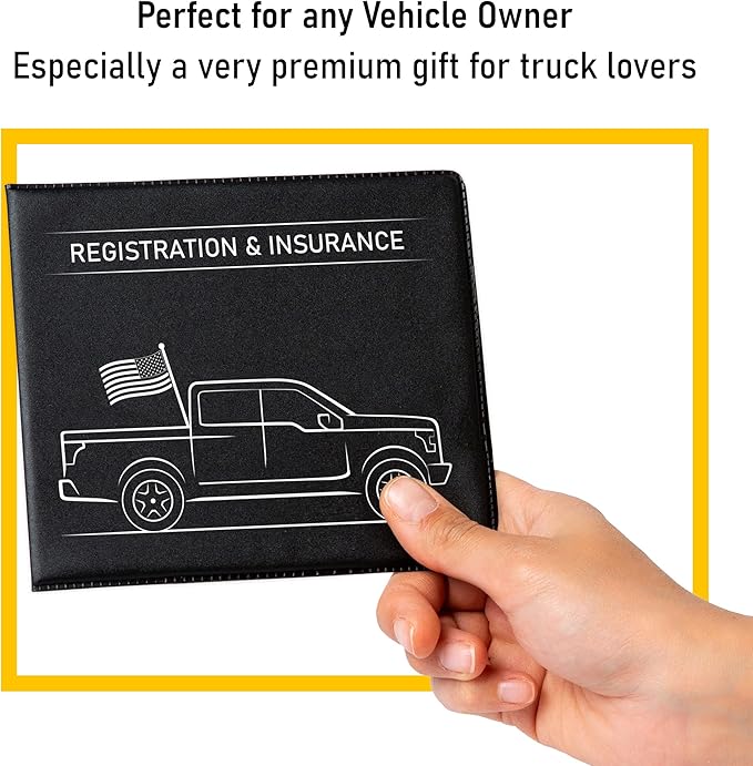 CANOPUS Auto Accessory Document Holder, 2 Pack (Black, PVC, Portable, EZ Pass Compatible)