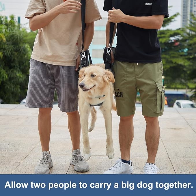 COODEO Dog Carry Sling, Emergency Backpack Pet Legs Support & Rehabilitation Dog Lift Harness for Nail Trimming, Dog Carrier for Senior Dogs Joint Injuries, Arthritis, Up and Down Stairs(2XL, Black)