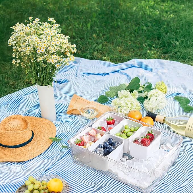 Portable Snackle Box Container with Resuable Ice Pack,Divided Serving Tray with Lid and Handle,8 Compartment Kids Lunch Box,Charcuterie Board Organizer for Travel Beach Road Trip Picnic