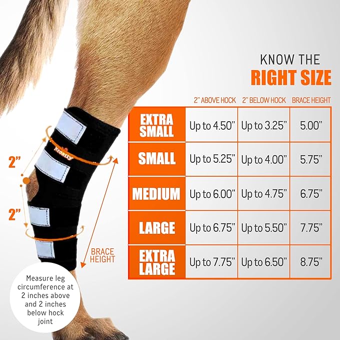 NeoAlly® - Rear Leg Hock Brace, Dog Leg Brace for Rear Leg, Hock & Ankle Support for Large Dogs, Dog Brace for Torn Acl and Ccl, Long Version, Small, 1 Pair