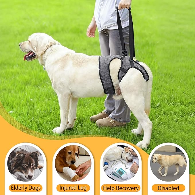 LIANZIMAU Dog Sling for Large Dogs Adjustable Hind Leg Support Lift Harness Help em up Harness Senior Canine Mobility Aid Carrier for Back Legs Walking Rehabilitation