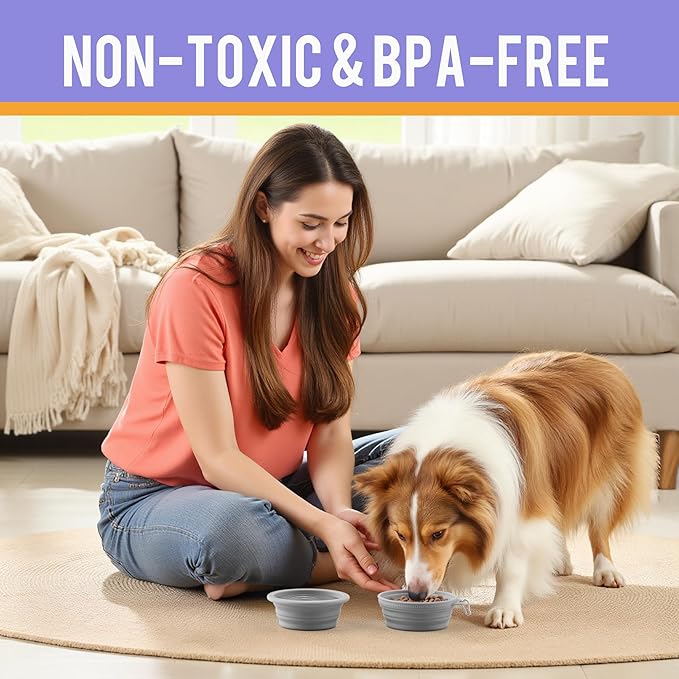 Li&Zhao Collapsible Dog Bowls - Silicone Travel Dog Bowl with Cover Lids Portable Expandable Pet Bowls Portable Water Bow for Cats Feeding Traveling Camping Hiking Walking(Gray)