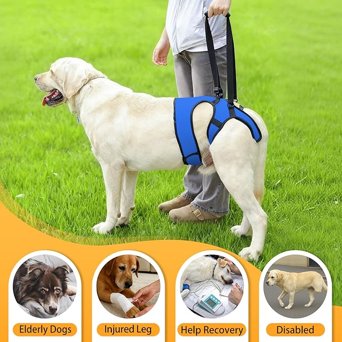 LIANZIMAU Dog Sling for Large Dogs Adjustable Hind Leg Support Lift Harness Help em up Harness Senior Canine Mobility Aid Carrier for Back Legs Walking Rehabilitation