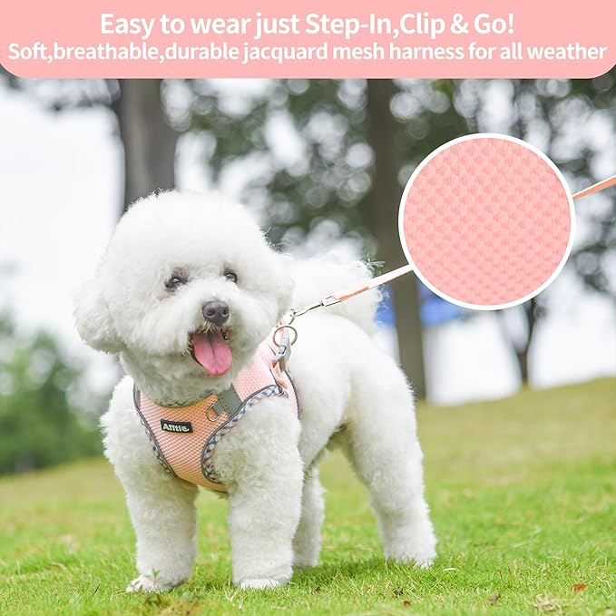 AIITLE Dog Harness and Leash Set - Ultra-Comfortable XXS-XL Vest with Strong Magic Tape & Glow-in-Dark Reflective Strips, Chafe-Free for Teddy, Schnauzer (Pink, M)