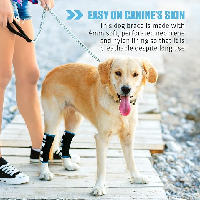 NeoAlly Dog Leg Brace [Long Version] Canine Hind Hock Support with Safety Reflective Straps for Injury and Sprain Protection, Wound Healing and Loss of Stability from Arthritis (Blue XS Pair)