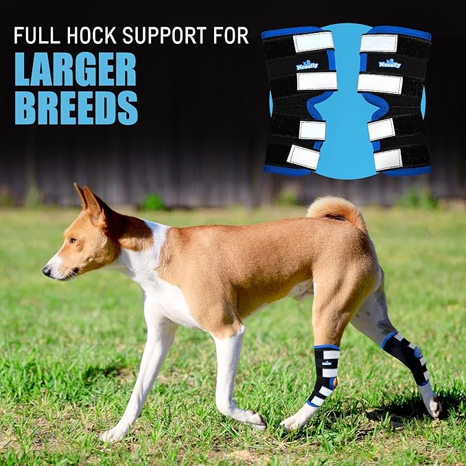 NeoAlly Dog Leg Brace [Long Version] Canine Hind Hock Support with Safety Reflective Straps for Injury and Sprain Protection, Wound Healing and Loss of Stability from Arthritis (Blue XS Pair)