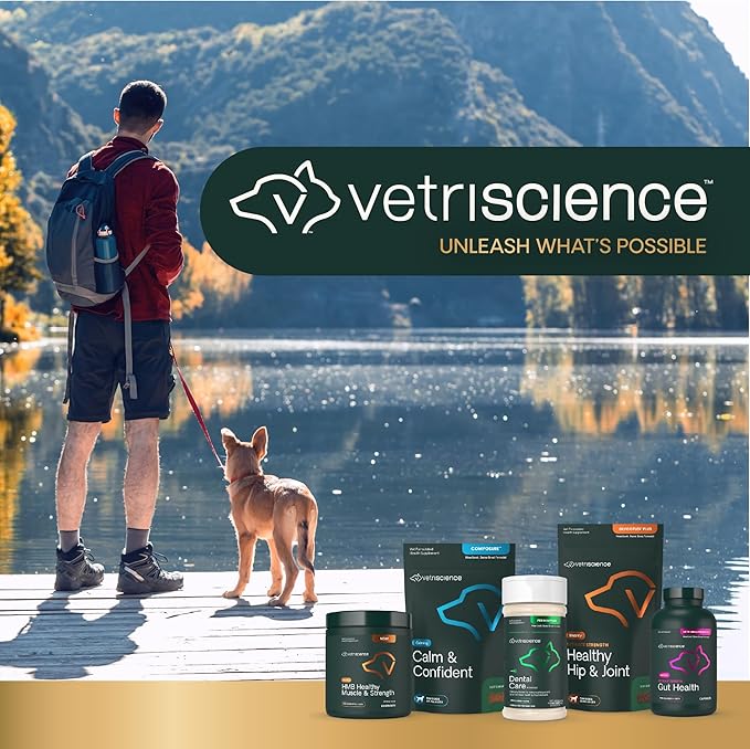 VetriScience Long Lasting Calm & Confident Calming Chews for Dogs, Supplement for Stress Support, Thunderstorms, Fireworks, & Travel, Chicken, Soft Chews, 90 Count - New Look