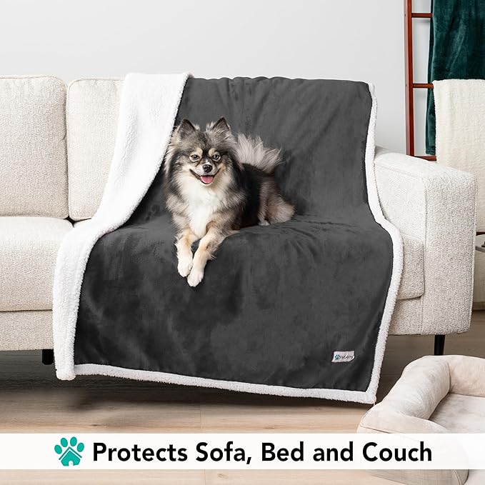 PetAmi Dog Blanket for Small Medium Dogs, Pet Bed Blanket Cat Puppy Kitten, Fleece Furniture Couch Cover Protector Sofa Car, Soft Sherpa Dog Throw Plush Reversible Washable, Mini 29x40 Dark Gray