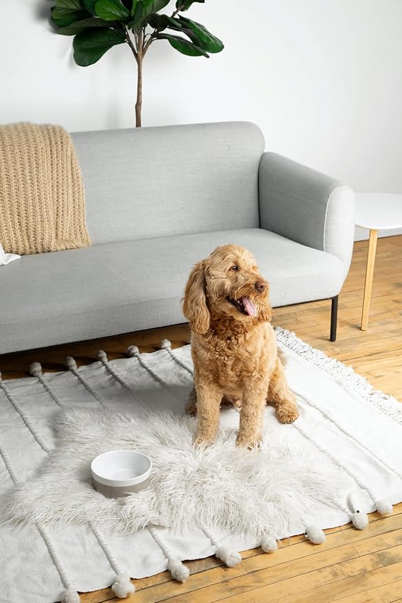 Waggo Dipper Ceramic Dog Bowl for Small and Large Breeds - Heavyweight and Durable Pet Food and Water Dish Crock, Dishwasher Safe, Modern (Mint, Small)