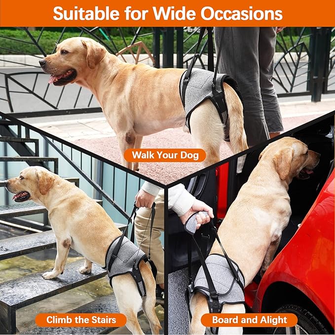 ROZKITCH Dog Lift Harness, Pet Rear Support Aid Veterinarian Approved Sling for Old Help with Poor Stability, Back Leg Hip Disabled Joint Injury Elderly Arthritis ACL Rehabilitation Rehab Grey S
