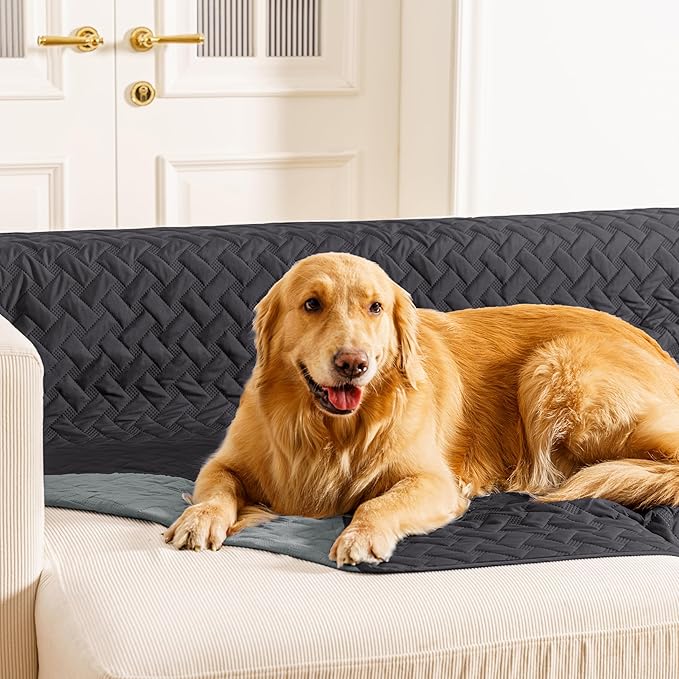 gogobunny 100% Double Sided Waterproof Dog Blanket Soft Pet Bed Cover Reversible Protect Furniture Couch Sofa Car for Puppy Cat (Dark Charcoal/Light Charcoal, 30x30 Inch (Pack of 1))