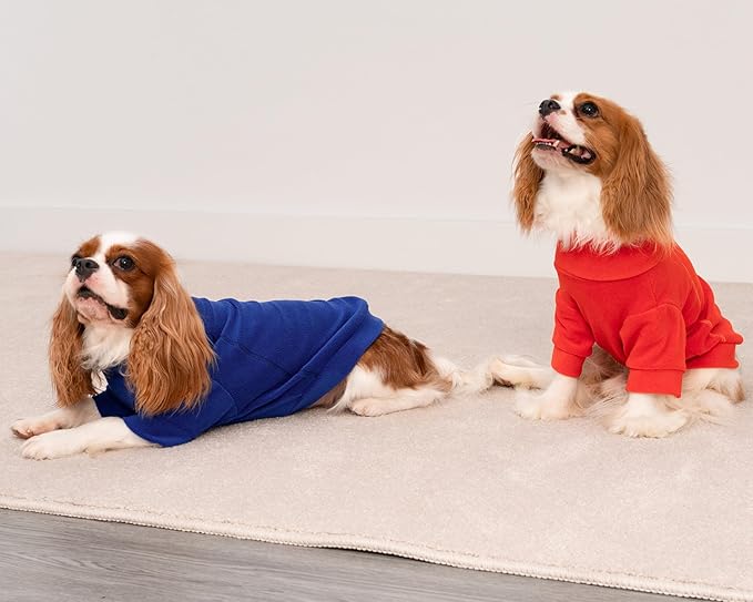 Fitwarm 3 Pack Classic Fleece Dog Sweater, Winter Clothes for Small Dogs Boy Girl, Turtleneck Dog Sweatshirt, Pet Apparel, Orange Red, Royal Blue, Neon Yellow, Small