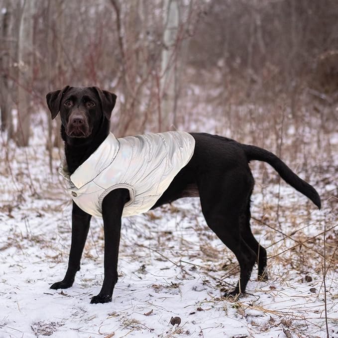 ASENKU Dog Winter Coat - Waterproof Windproof Dog Jacket, Warm Snowproof Doggie Puffer Vest for Cold Weather, Lightweight Snow Coats for Small Medium Large Dogs (Silver, L)
