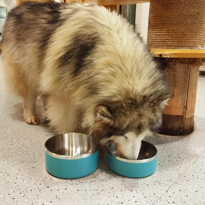 Stainless Steel Dog Bowls, Metal Dog Dish for Large Dogs, Insulated Non Slip Dog Food Bowl, Easy Clean, 40oz, LakeBlue