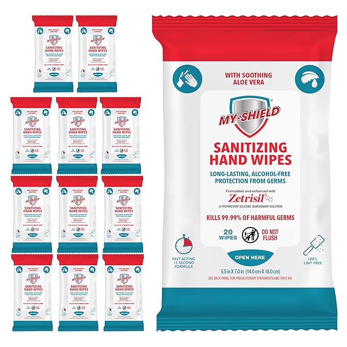 Sanitizing Hand Wipes - Travel Pack - 20 Count (12-pack) Alcohol-Free, Long-lasting Protection. Kills 99.9% of Germs. Moisturizes With Aloe Vera. Formulated with Zetrisil.