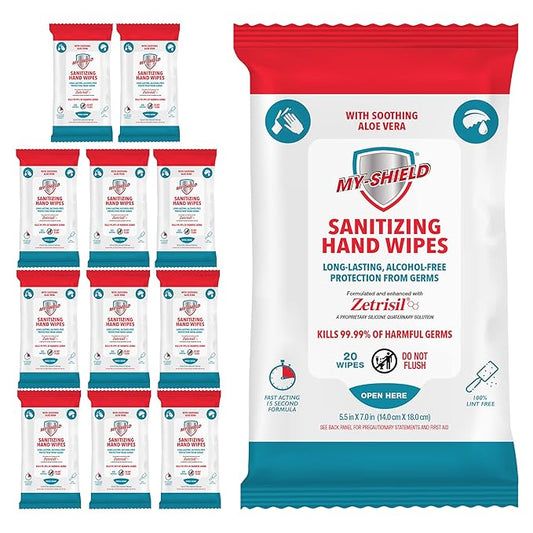 Sanitizing Hand Wipes - Travel Pack - 20 Count (12-pack) Alcohol-Free, Long-lasting Protection. Kills 99.9% of Germs. Moisturizes With Aloe Vera. Formulated with Zetrisil.