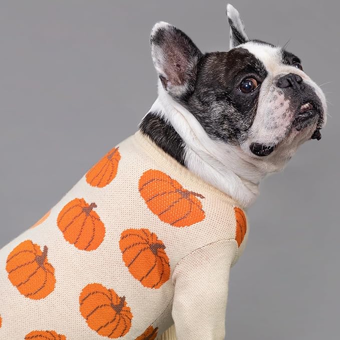 Fitwarm Pumpkin Dog Sweater, Thanksgiving Outfit for Small Dogs Boy Girl, Pet Outfit, Orange, Beige, XS