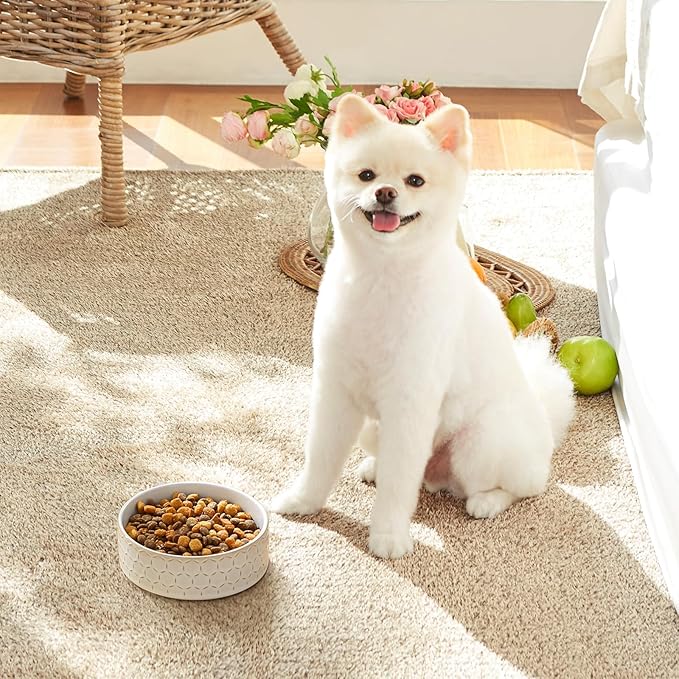 MALACASA Ceramic Dog Food Bowl, 1.5 Cups or 14oz Dog Food Water Dish for Small Breeds, Cats Pet Bowl Dishwasher & Microwave Safe, Honeycomb, Series Lydia