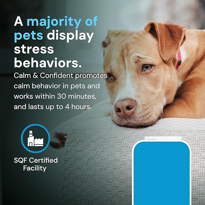 VetriScience Veterinary Strength Calm & Confident Chews - Stress Supplement for Pets - Supports Brain Function for Cats & Dogs - with L-Theanine, Thiamine & More - 60 Count