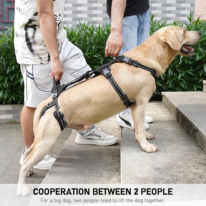 COODEO Mobility Dog Lift Harness, Support Sling & Walking Sling for Dogs, Pet Rear Leg Rehabilitation Support Vest, Dog Carrier for Senior Dogs with Joint Injuries, Arthritis, Up Stair (Black, L)