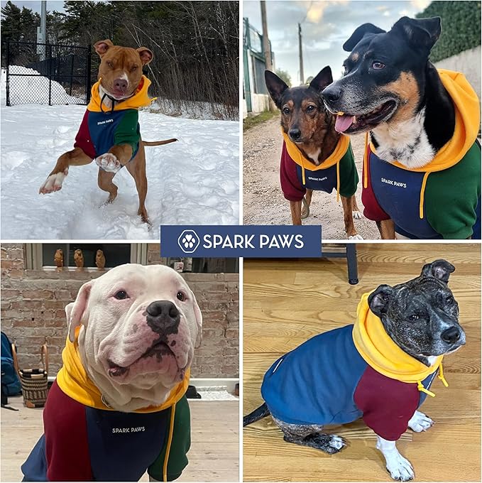 Spark Paws Dog Hoodie – Premium Dog Sweater for Small, Medium, and Large Dogs | Warm Outfits for French Bulldogs, Pitbull, Puppy, Winter Jacket Alternative - Primary Color Block - L