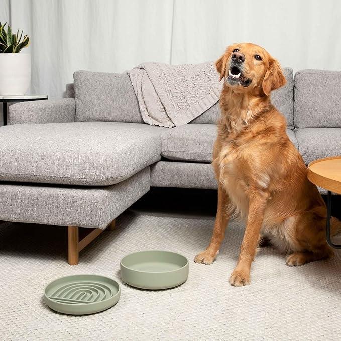 Should We Go? Dog Water Bowl - The Perfect Dish No-Spill, Less Mess Non-Tippable Water & Food Bowl, Pure Silicone with Suction Cup Fits 8 Cups 9.5" Across x 2.5" Tall, Ideal for All Pets, Large-Spruce