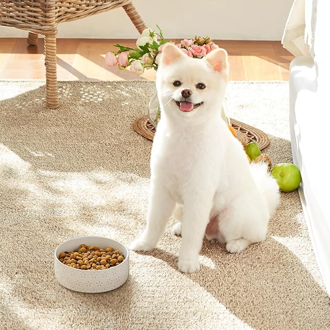 MALACASA Ceramic Dog Food Bowl, 1.5 Cups or 14oz Dog Food Water Dish for Small Breeds, Cats Pet Bowl Dishwasher & Microwave Safe, Five-Leaf Grass, Series Lydia