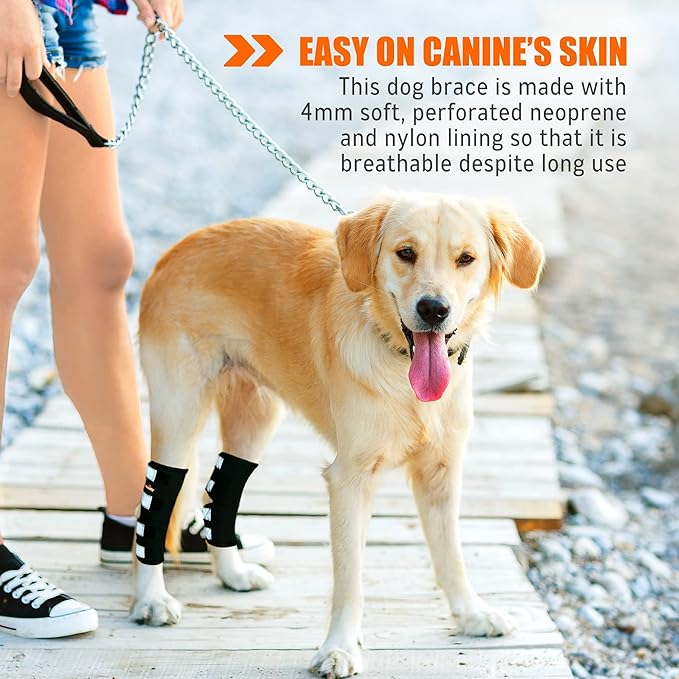 NeoAlly® - Rear Leg Hock Brace, Dog Leg Brace for Rear Leg, Hock & Ankle Support for Large Dogs, Dog Brace for Torn Acl and Ccl, Long Version, Large, 1 Pair