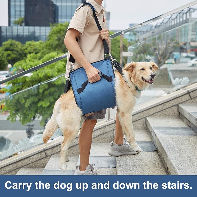 COODEO Dog Carry Sling, Emergency Backpack Pet Legs Support & Rehabilitation Dog Lift Harness for Nail Trimming, Dog Carrier for Senior Dogs Joint Injuries, Arthritis, Up and Down Stairs (M, Blue)