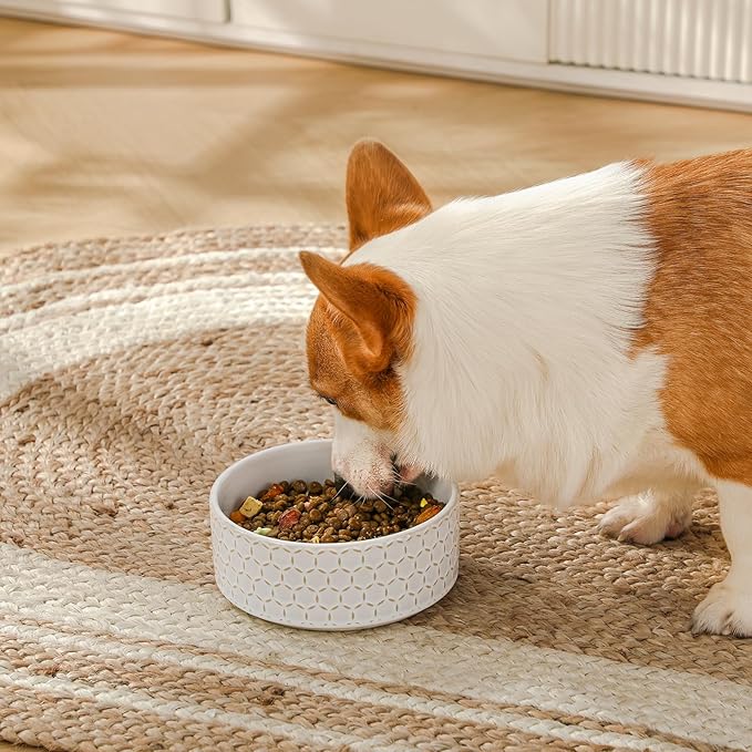 MALACASA Ceramic Dog Food Bowl, 3.5 Cups or 32oz Dog Food Water Dish for Mudium Breeds, Pet Bowl Dishwasher & Microwave Safe, Honeycomb, Series Lydia
