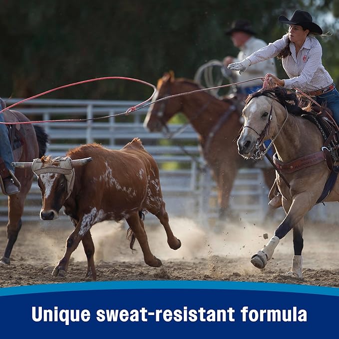 Farnam Endure Sweat-Resistant Fly Spray for Horses, Sweat-Rsistant Formula Lasts Up to 14 Days, Kills and Repels Against Flies, Gnats, Mosquitoes, Ticks & Lice, 128 oz.
