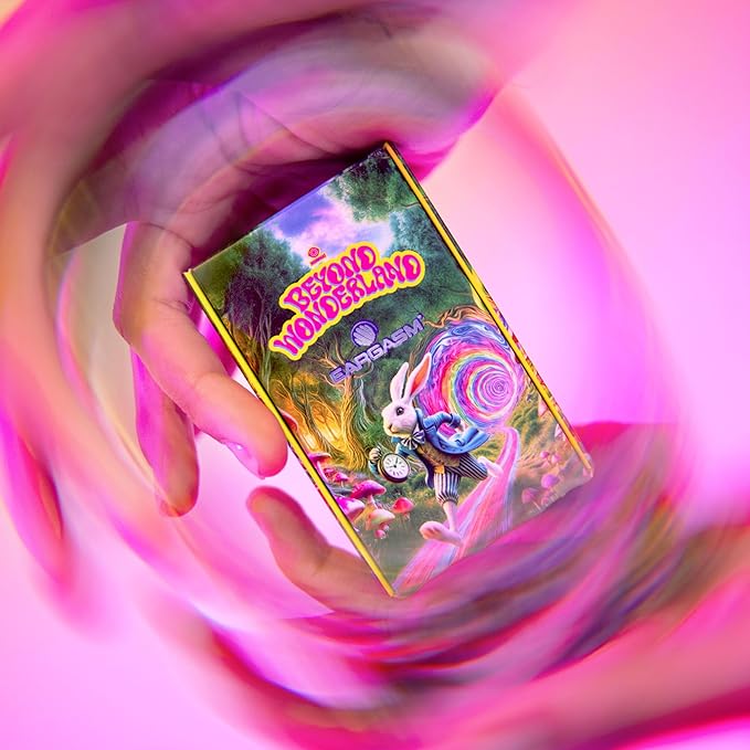 Eargasm High Fidelity Earplugs: Beyond Wonderland Festival 2025 Edition - Noise Reducing Ear-Plugs for Hearing Protection in Loud Environments, Concerts, Live Events, Music Festivals, Sporting Events