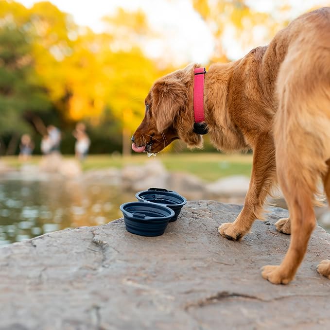 Pup Culture Dual Collapsible Dog Bowls | Silicone Travel Water Bowl for Dogs | Food Grade, No Plastic Rim, Portable Dog Bowl for Food and Water - Easy to Clean | BPA Free and Safe for Your Pup-Navy