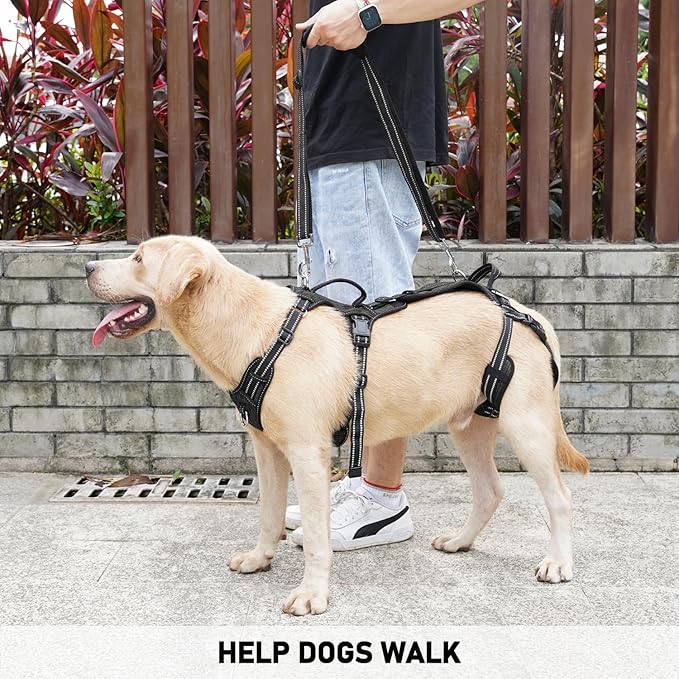 COODEO Mobility Dog Lift Harness, Support Sling & Walking Sling for Dogs, Pet Rear Leg Rehabilitation Support Vest, Dog Carrier for Senior Dogs with Joint Injuries, Arthritis, Up Stair (Black, L)